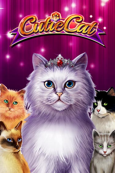 Cutie Cat демо игровой автомат | ВАВАДА бесплатно
